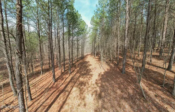 $93,000 | Waterwheel Way, Unit 342, Jasper, TN 37347