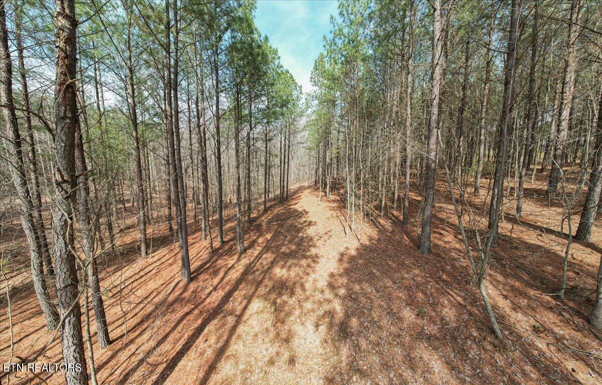 Waterwheel Way, Unit 342 Jasper, TN 37347 - Photo 8 of 9 12-DJI_0487 (2)