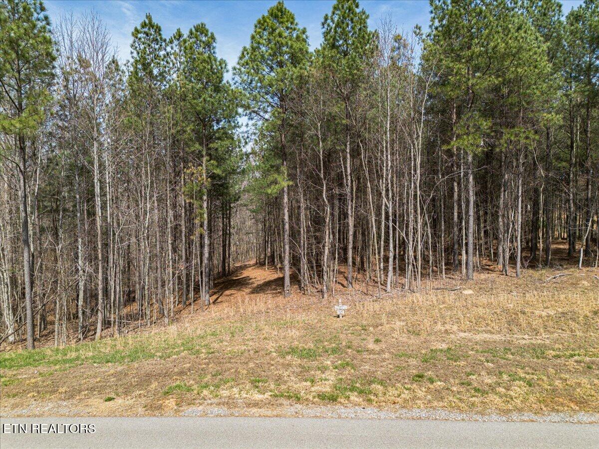 Waterwheel Way, Unit 342 Jasper, TN 37347 - Photo 9 of 9 15-DJI_0997 (2)