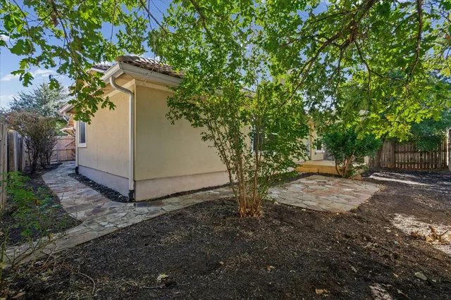 a view of a yard with plants and a trees