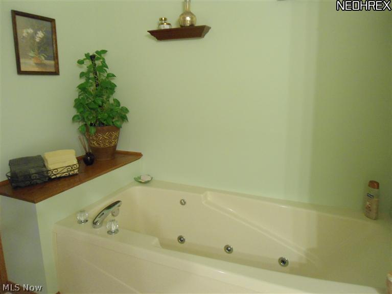 5761 Fenn Road Medina, OH 44256 - Photo 13 of 22 Deep jetted tub.
