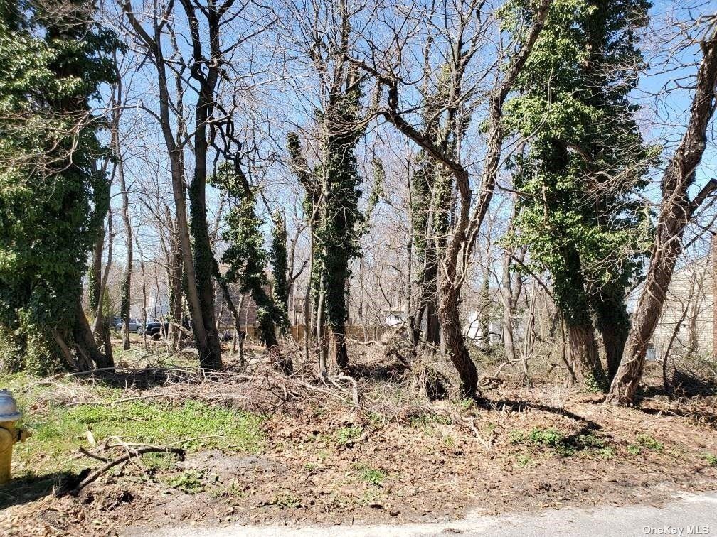 a view of a backyard of the house