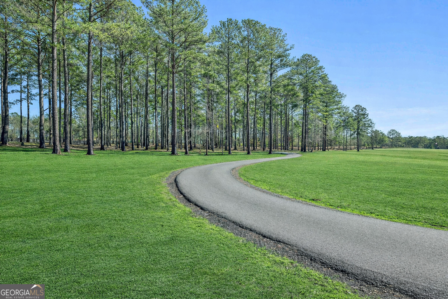 2161 Bear Creek Road Moreland, GA 30259 - Photo 11 of 137