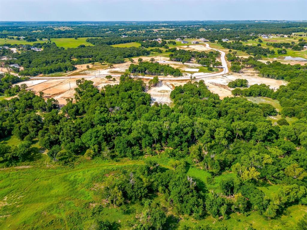 281 Zebrastone Way Poolville, TX 76487 - Photo 2 of 3 a view of lake view