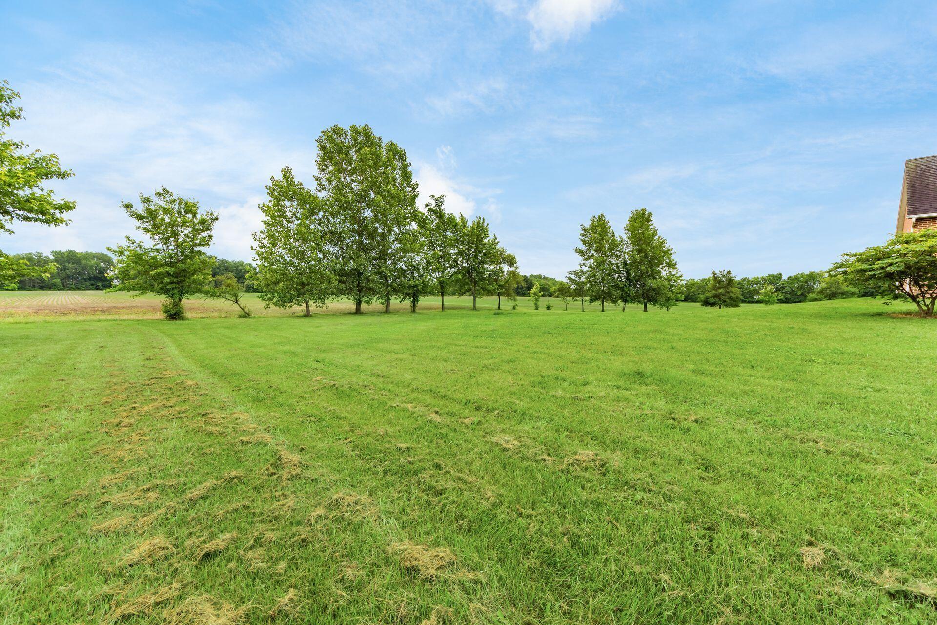 788 Alton Road Galloway, OH 43119 - Photo 49 of 68 grassed area