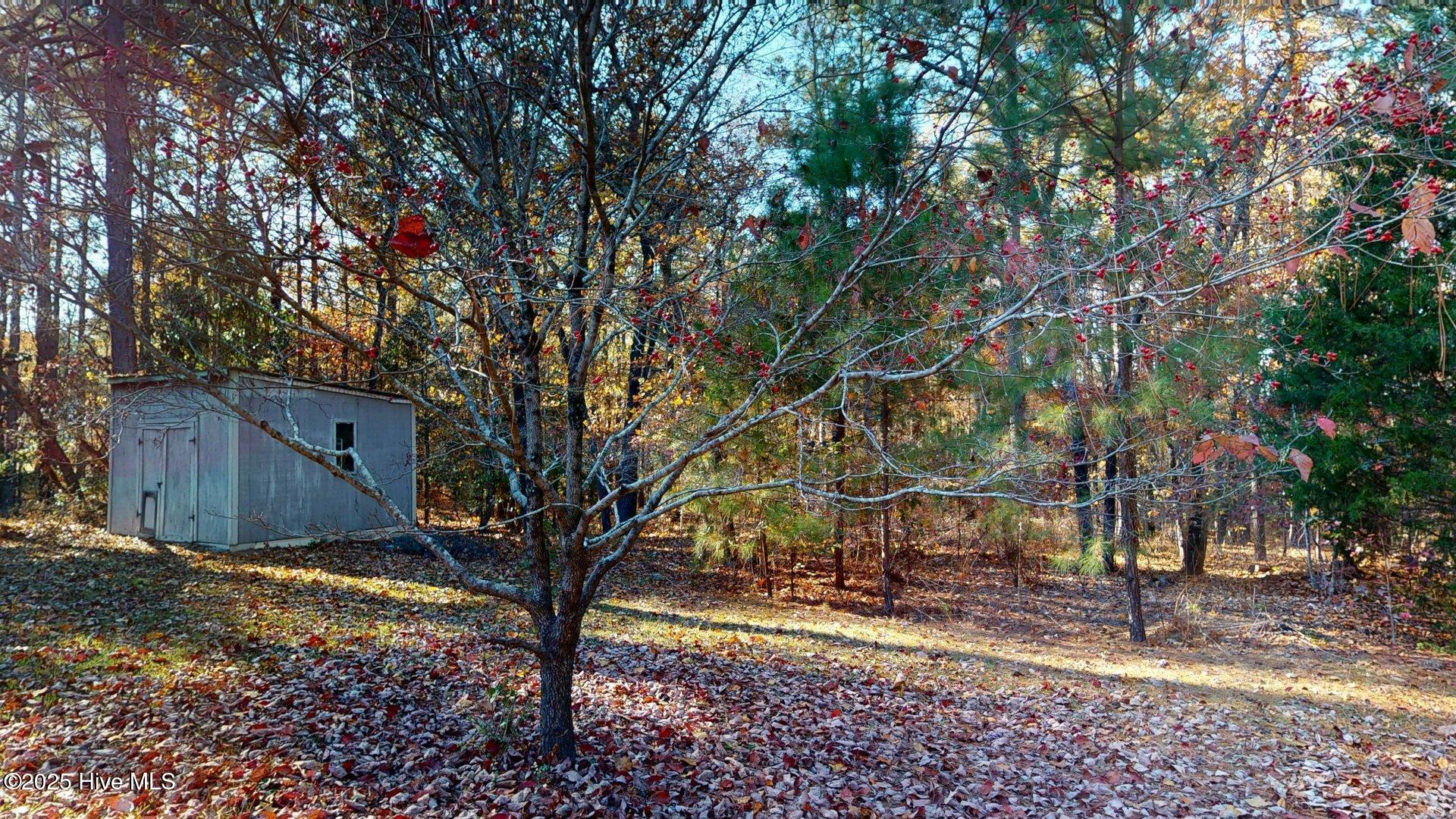 1236 Rays Bridge Road Whispering Pines, NC 28327 - Photo 88 of 95 1236-Rays-Bridge-Rd-11132025_194632