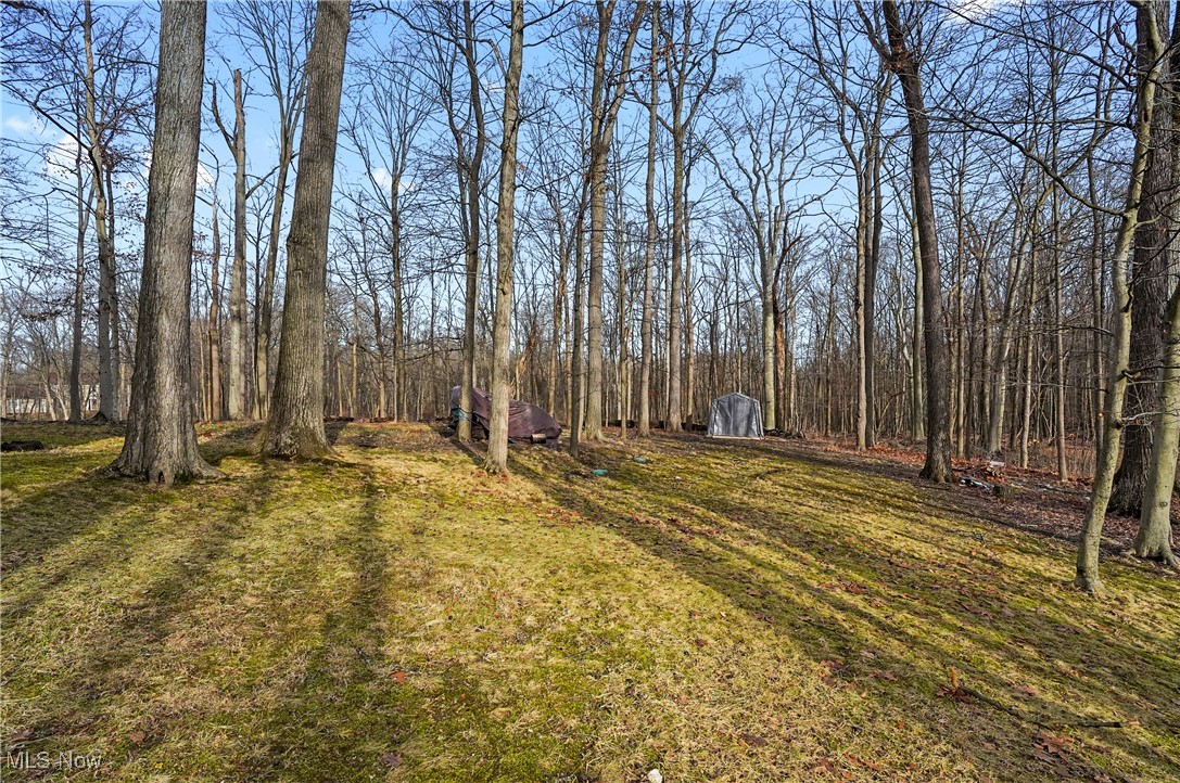 2910 Oxbow Road Richfield, OH 44286 - Photo 43 of 46