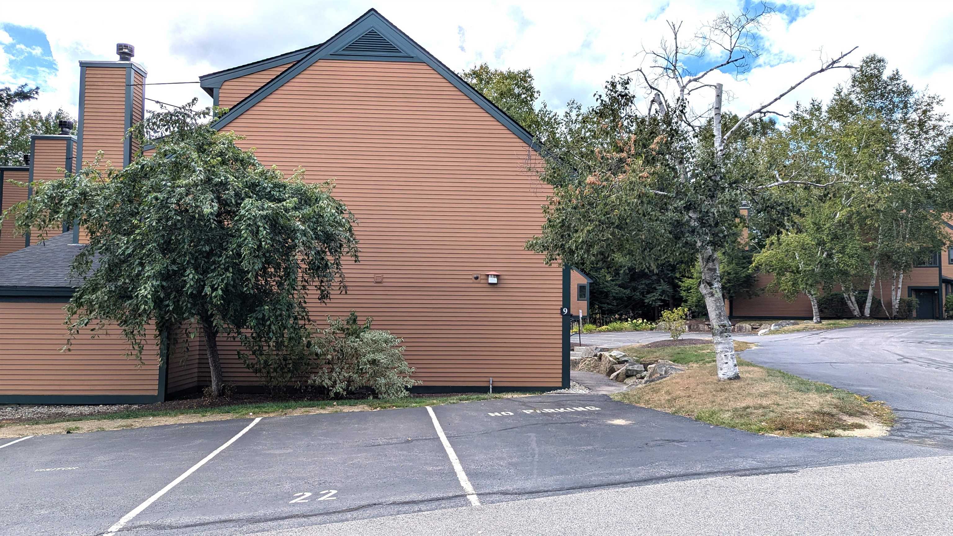 9 Mountain Sun Way, Unit 22A Waterville Valley, NH 03215 - Photo 3 of 29