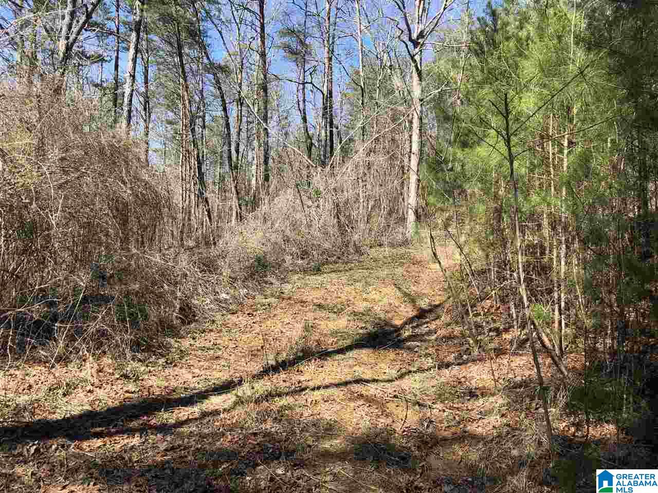 6274 New Castle Road, Unit 19 ACRES Morris, AL 35116 - Photo 5 of 30 Gallery Image 5