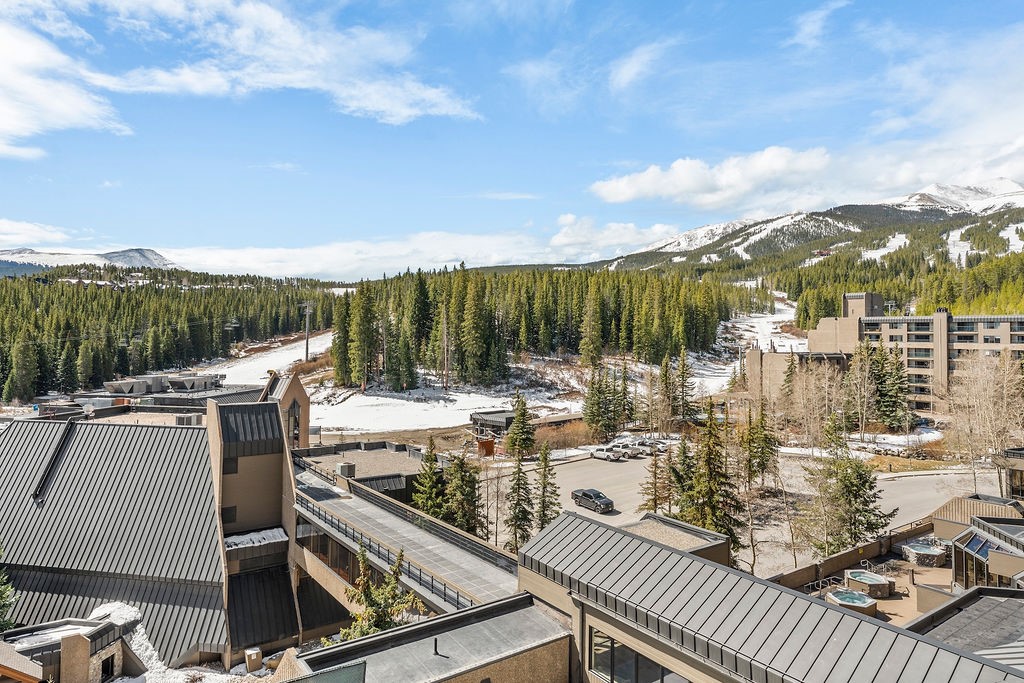 611 Village Road, Unit 4170 Breckenridge, CO 80424 - Photo 8 of 27