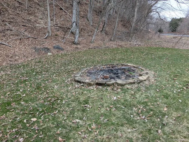 a view of a dry yard with trees