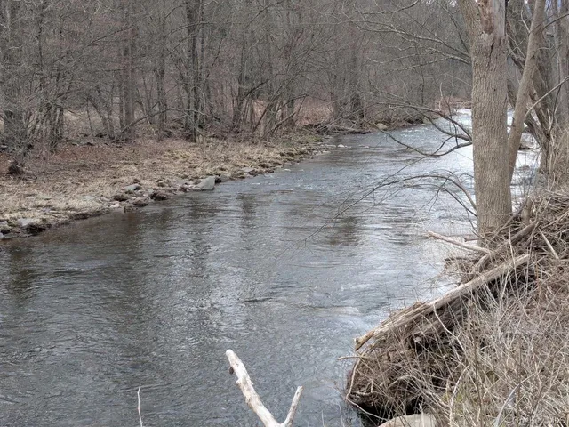 a view of a backyard of the house
