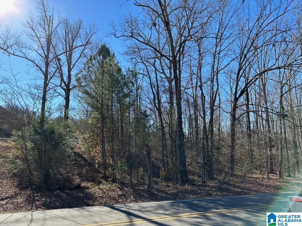 1455 Self Creek Road, Unit 17 000 Morris, AL 35116 - Photo 2 of 2