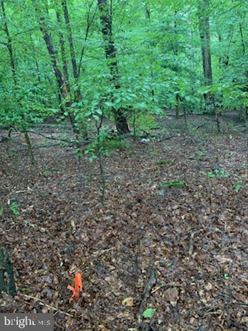 16511 Boot Hill Road Accokeek, MD 20607 - Photo 1 of 2