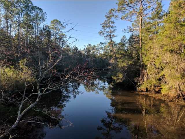 354 Pleasant Rest Road, Unit LOT 7 Wewahitchka, FL 32465 - Photo 1 of 1