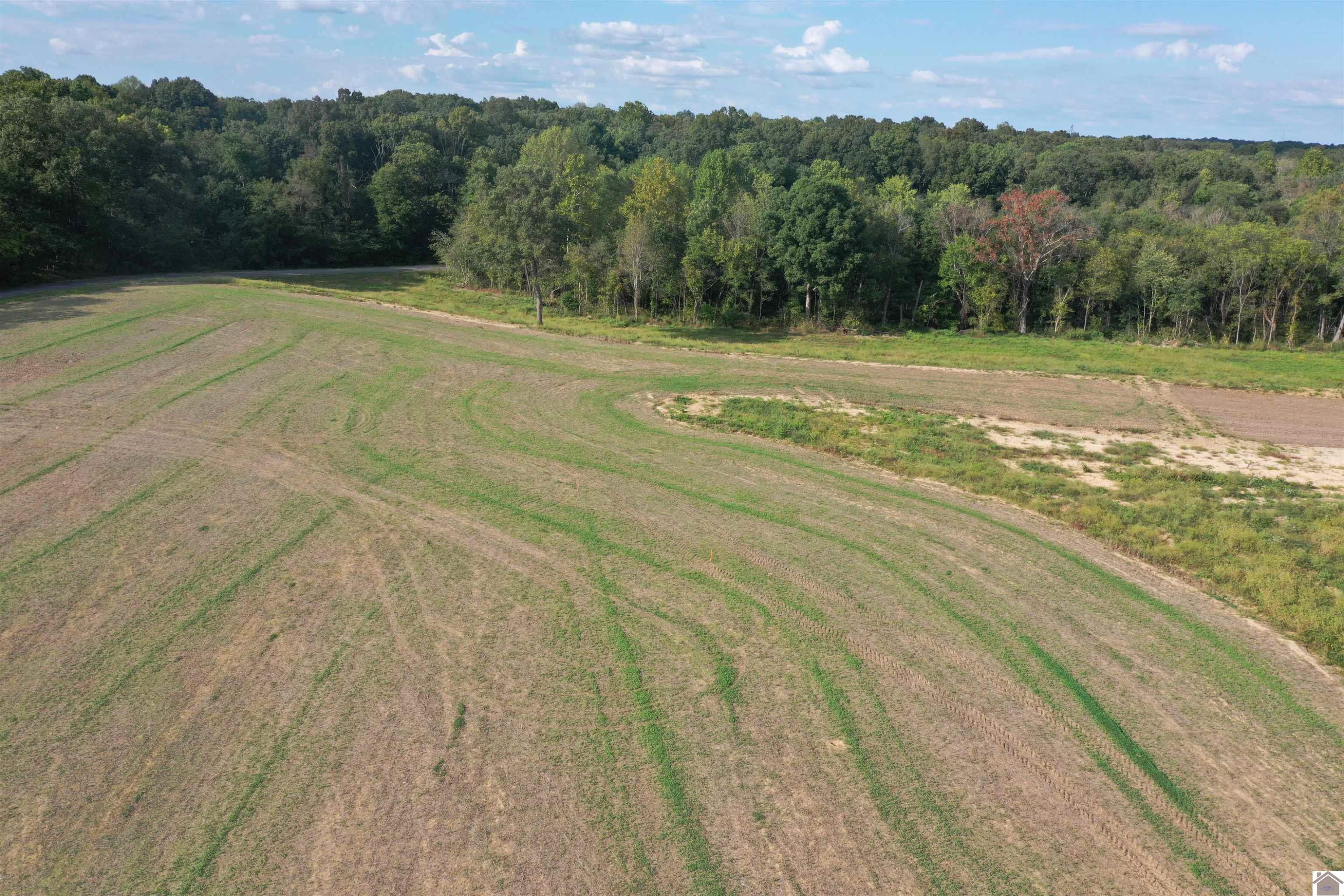 0 Hudson Road Fulton, KY 42041 - Photo 24 of 35 Photo 24
