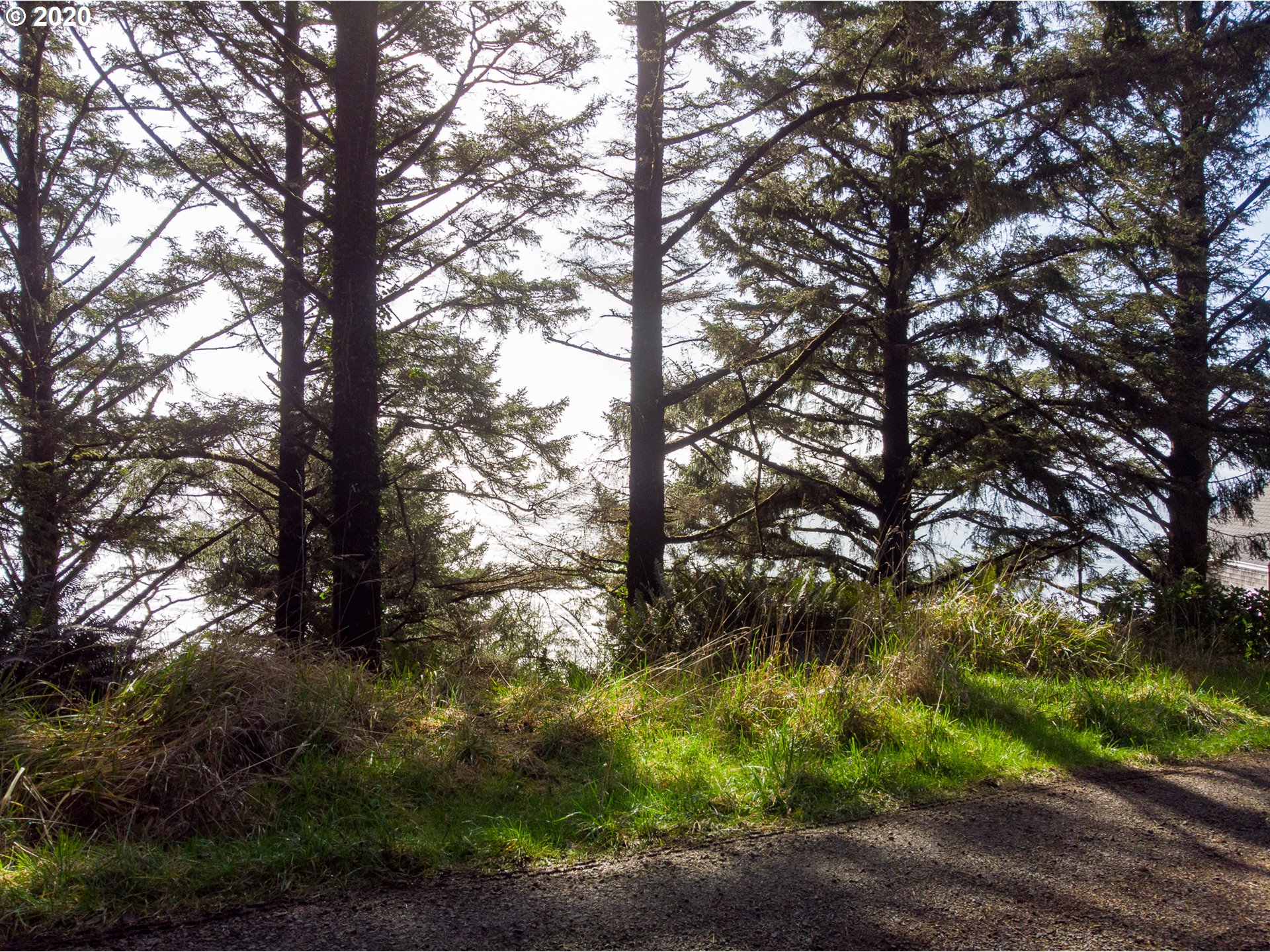 Norwester Road Oceanside, OR 97134 - Photo 11 of 13 Gallery Image 11