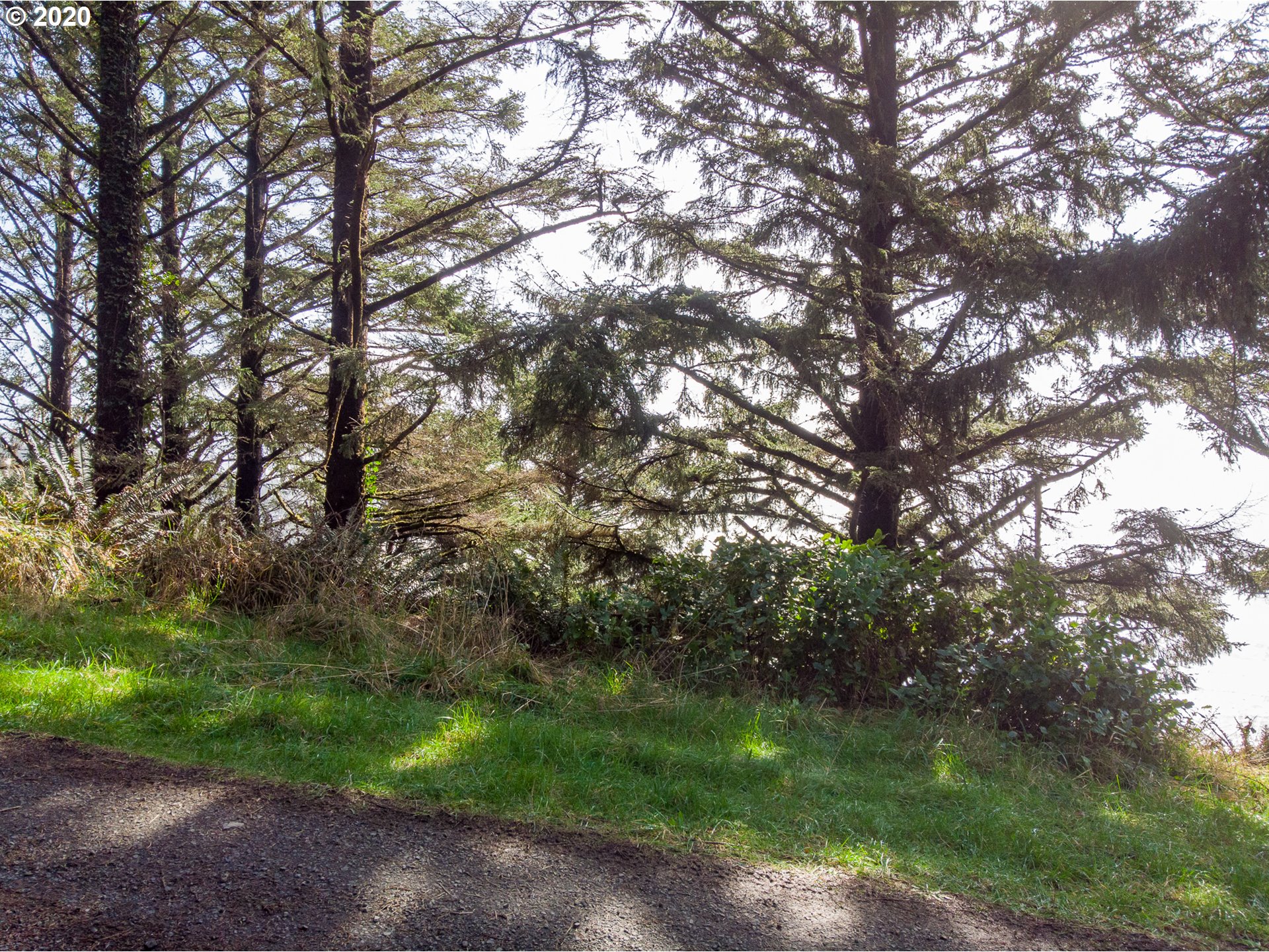Norwester Road Oceanside, OR 97134 - Photo 6 of 13 Gallery Image 6