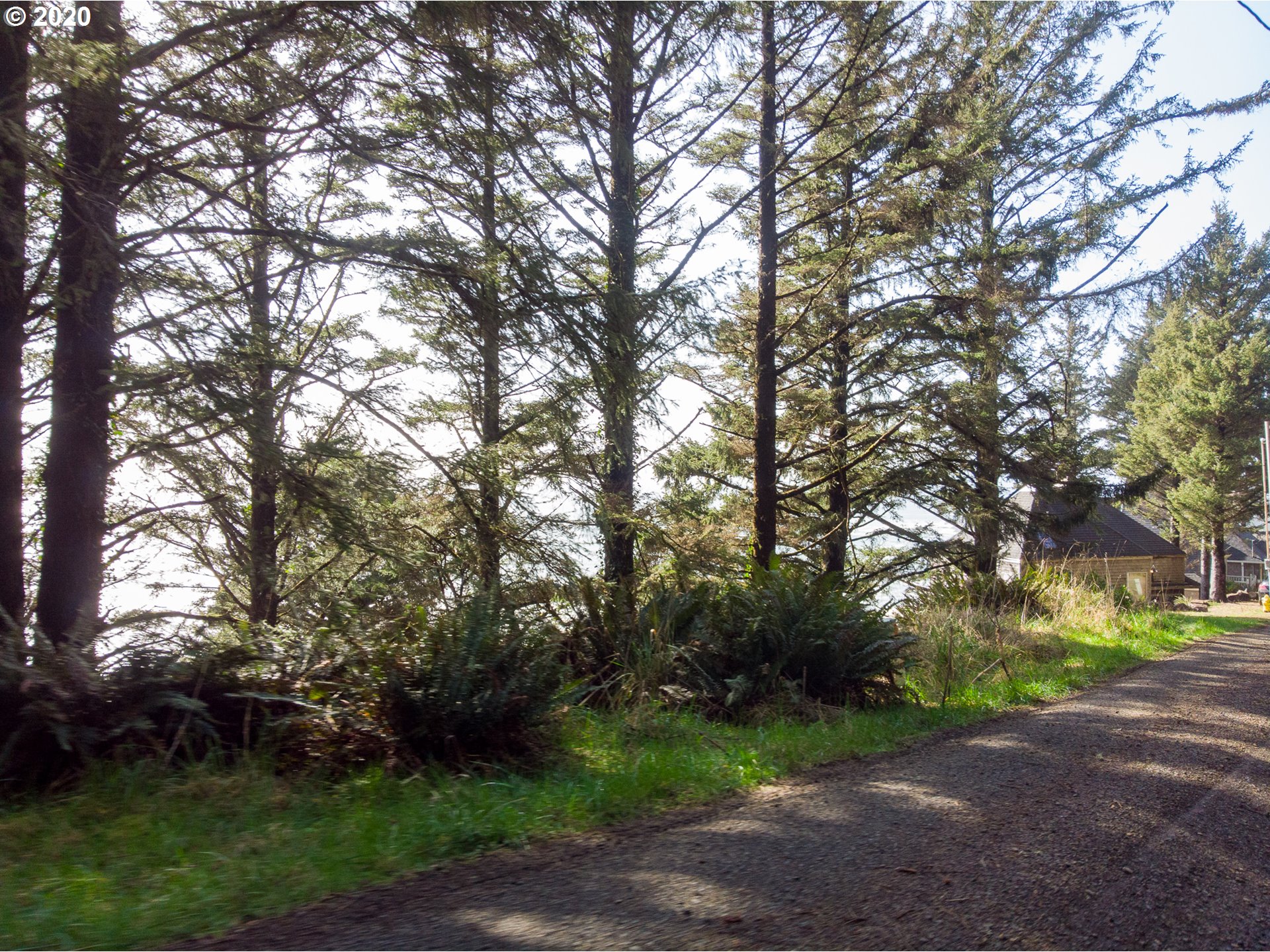 Norwester Road Oceanside, OR 97134 - Photo 10 of 13 Gallery Image 10