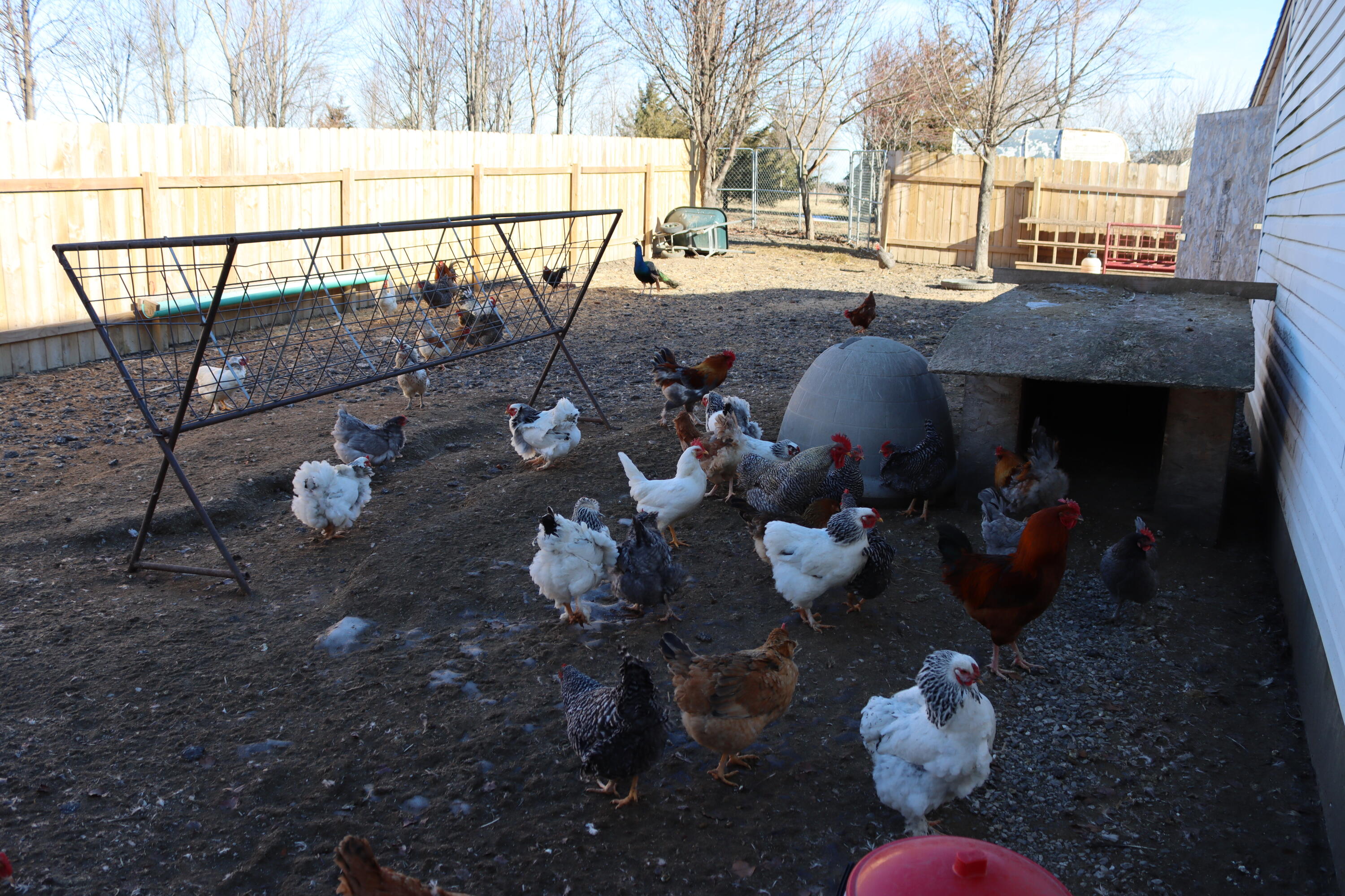 519 West 650 South Hebron, IN 46341 - Photo 9 of 23 3000x2000