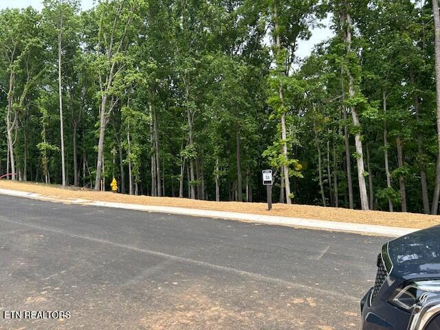 121 Cherry Tree Lane Loudon, TN 37774 - Photo 1 of 11 1777669718141blob