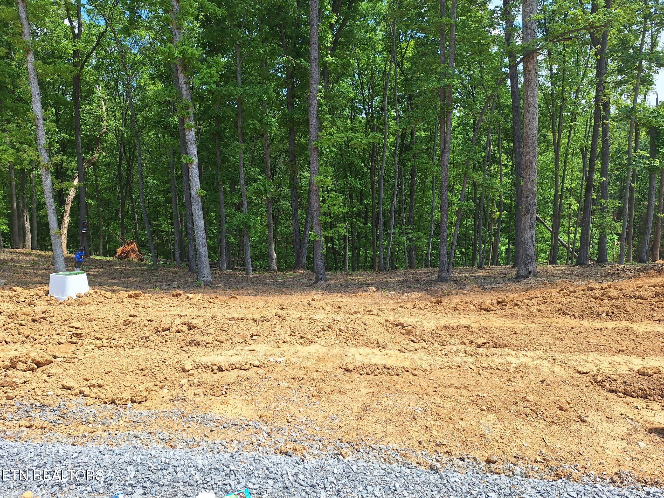 121 Cherry Tree Lane Loudon, TN 37774 - Photo 6 of 11 Resized_20260418_135105