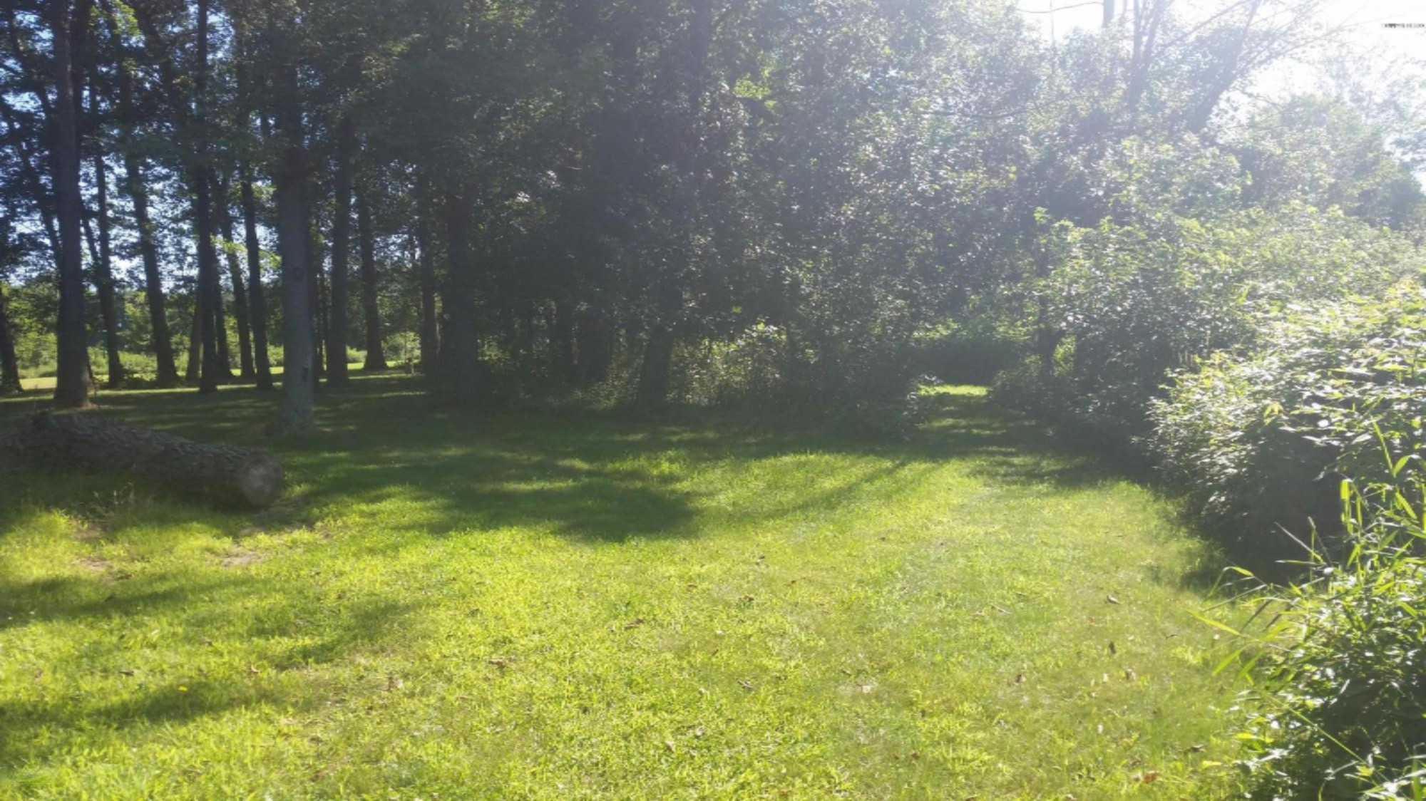 9500 11 Mile Road Ceresco, MI 49033 - Photo 48 of 63 20150721_101021
