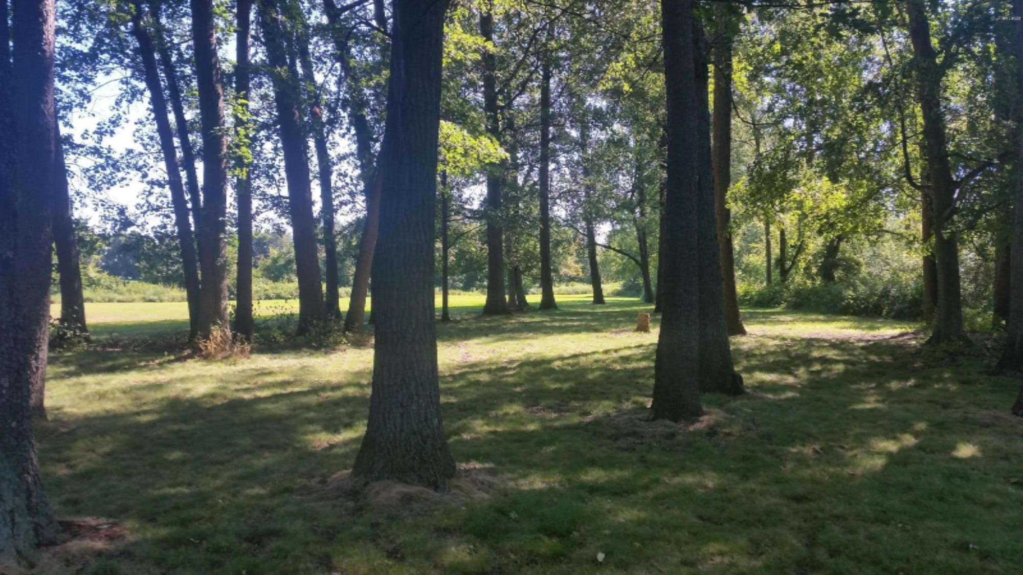 9500 11 Mile Road Ceresco, MI 49033 - Photo 49 of 63 20150721_101052