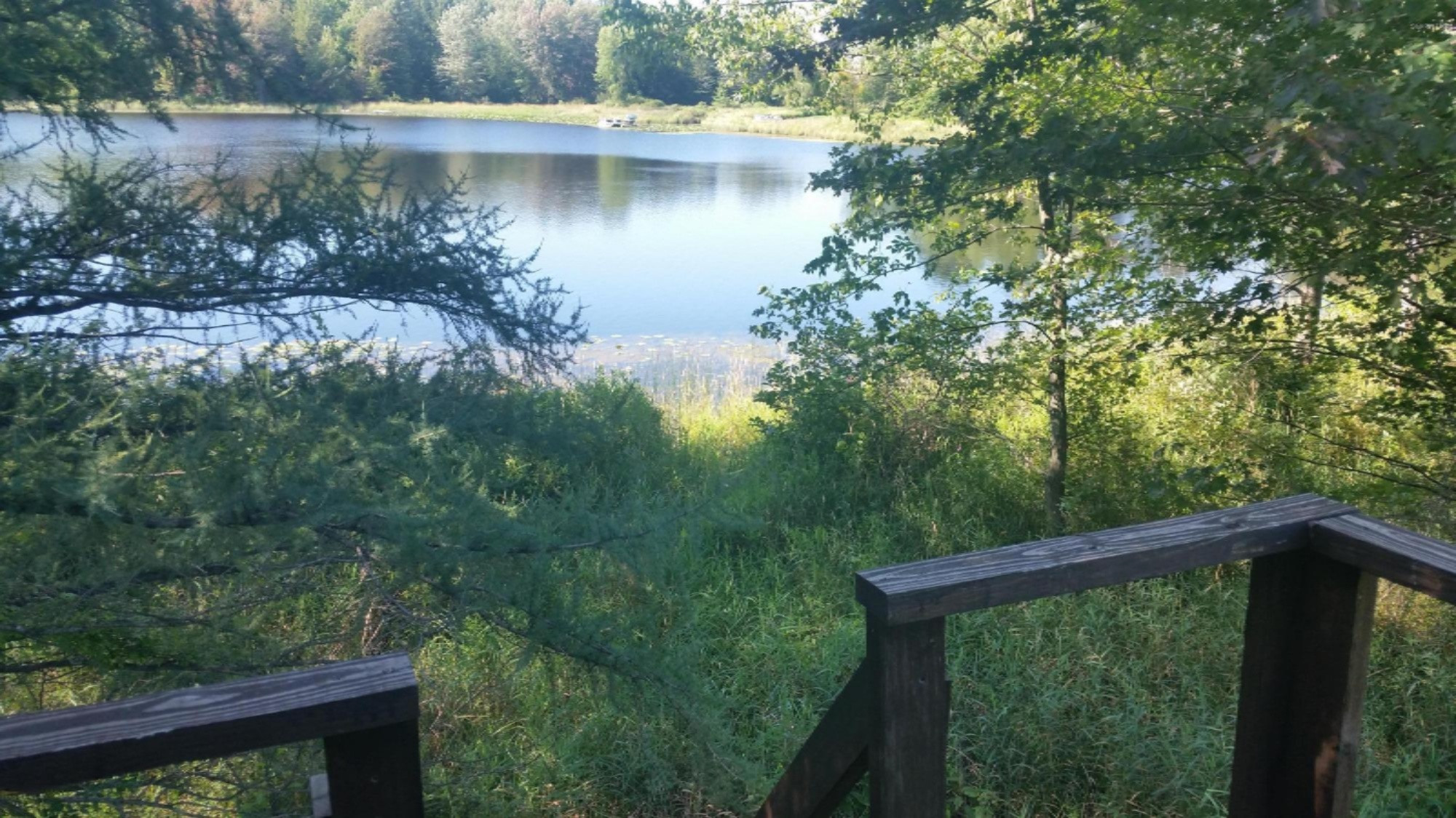 9500 11 Mile Road Ceresco, MI 49033 - Photo 51 of 63 20150721_103717