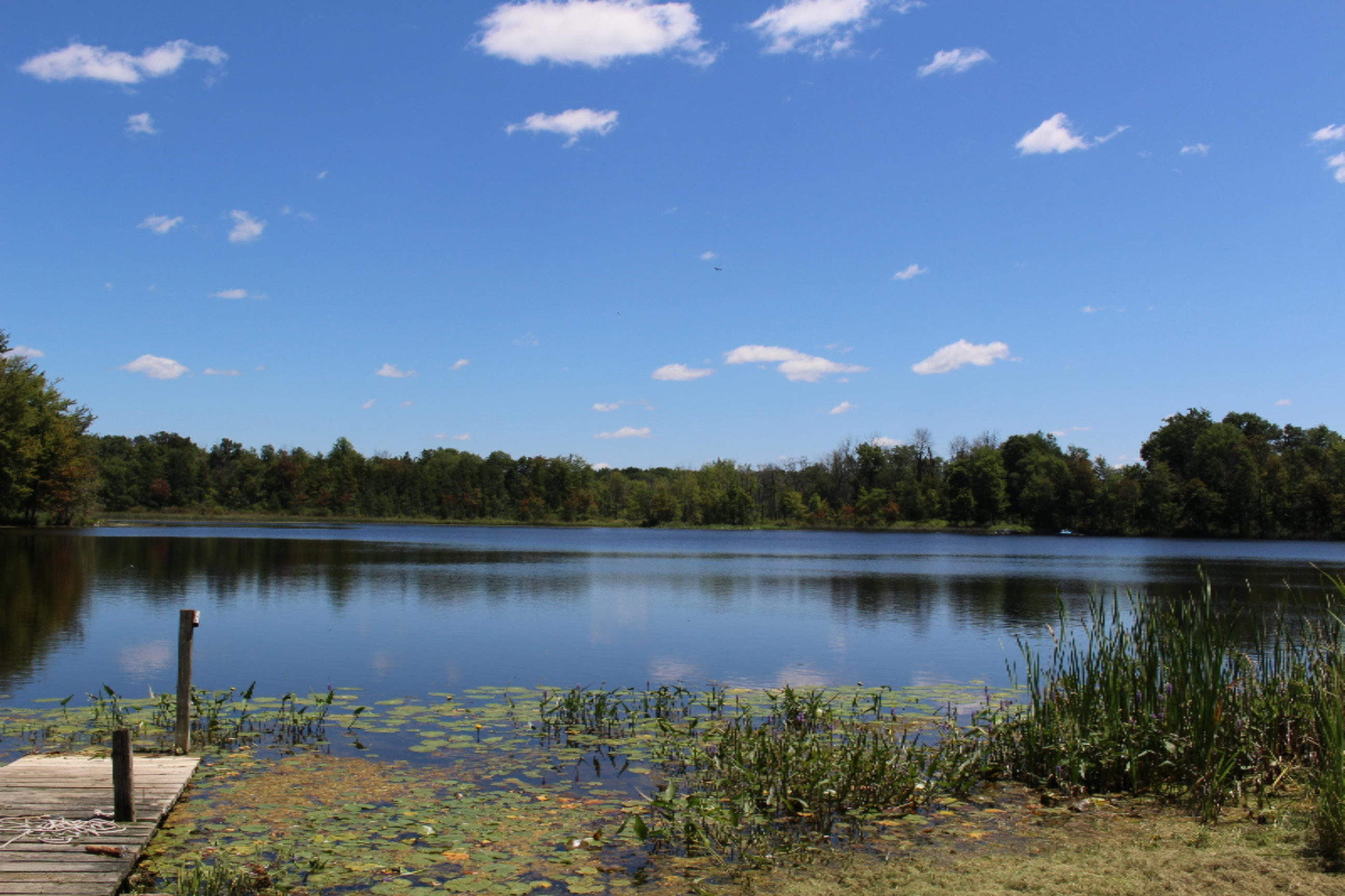 9500 11 Mile Road Ceresco, MI 49033 - Photo 61 of 63 IMG_2271