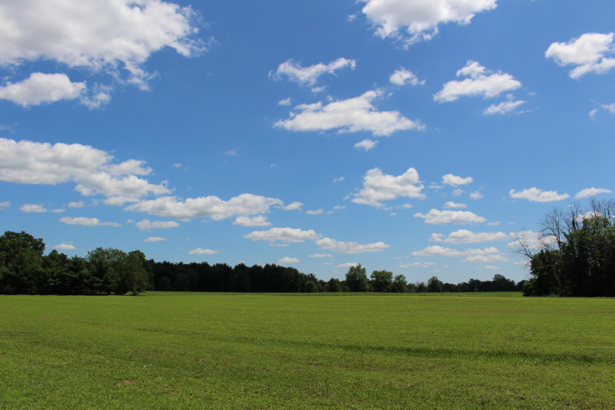 9500 11 Mile Road Ceresco, MI 49033 - Photo 10 of 63 IMG_2421
