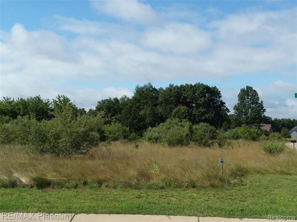 L-52 Gecko Trail Pinckney, MI 48169 - Photo 2 of 3 Gallery Image 2