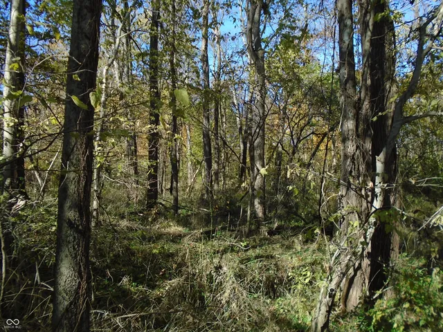 $1,700,000 | 9261 State Road 3, Milroy, IN 46156