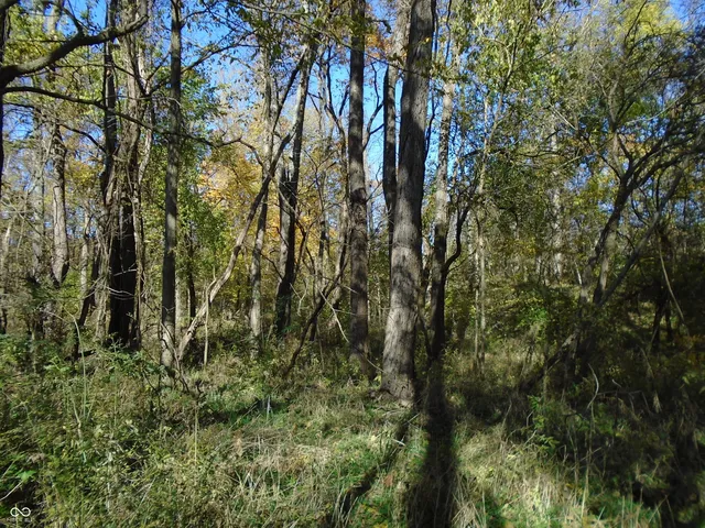 $1,700,000 | 9261 State Road 3, Milroy, IN 46156