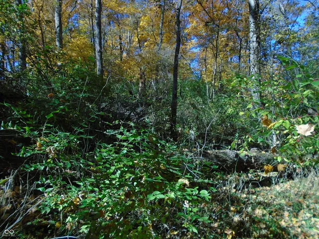 $1,700,000 | 9261 State Road 3, Milroy, IN 46156