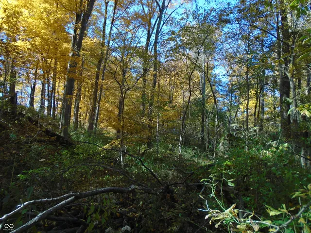 $1,700,000 | 9261 State Road 3, Milroy, IN 46156