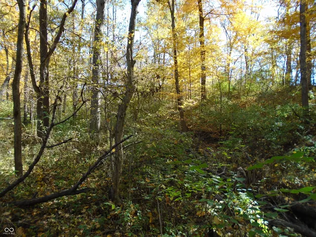 $1,700,000 | 9261 State Road 3, Milroy, IN 46156