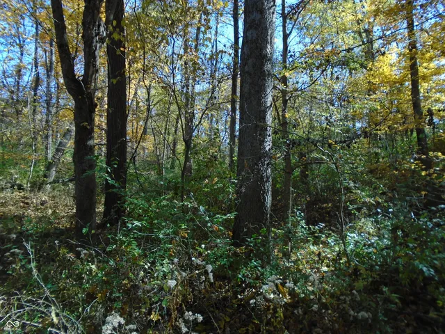 $1,700,000 | 9261 State Road 3, Milroy, IN 46156