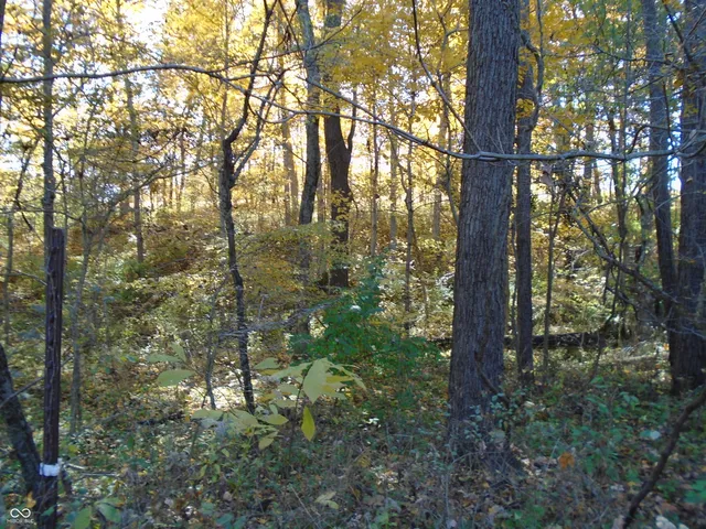 $1,700,000 | 9261 State Road 3, Milroy, IN 46156