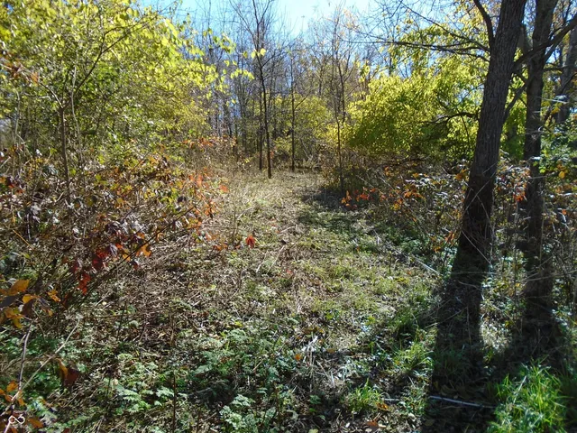 $1,700,000 | 9261 State Road 3, Milroy, IN 46156