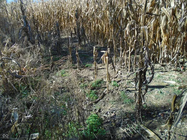 $1,700,000 | 9261 State Road 3, Milroy, IN 46156