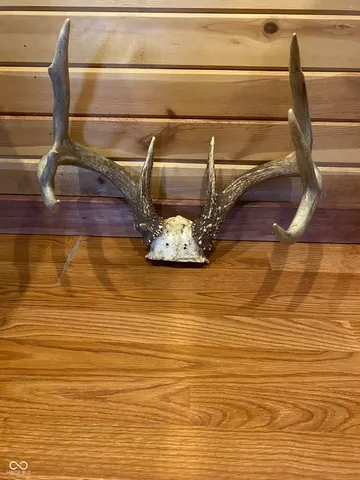 $1,700,000 | 9261 State Road 3, Milroy, IN 46156