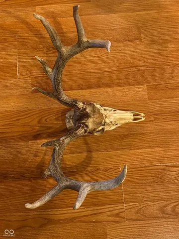 $1,700,000 | 9261 State Road 3, Milroy, IN 46156