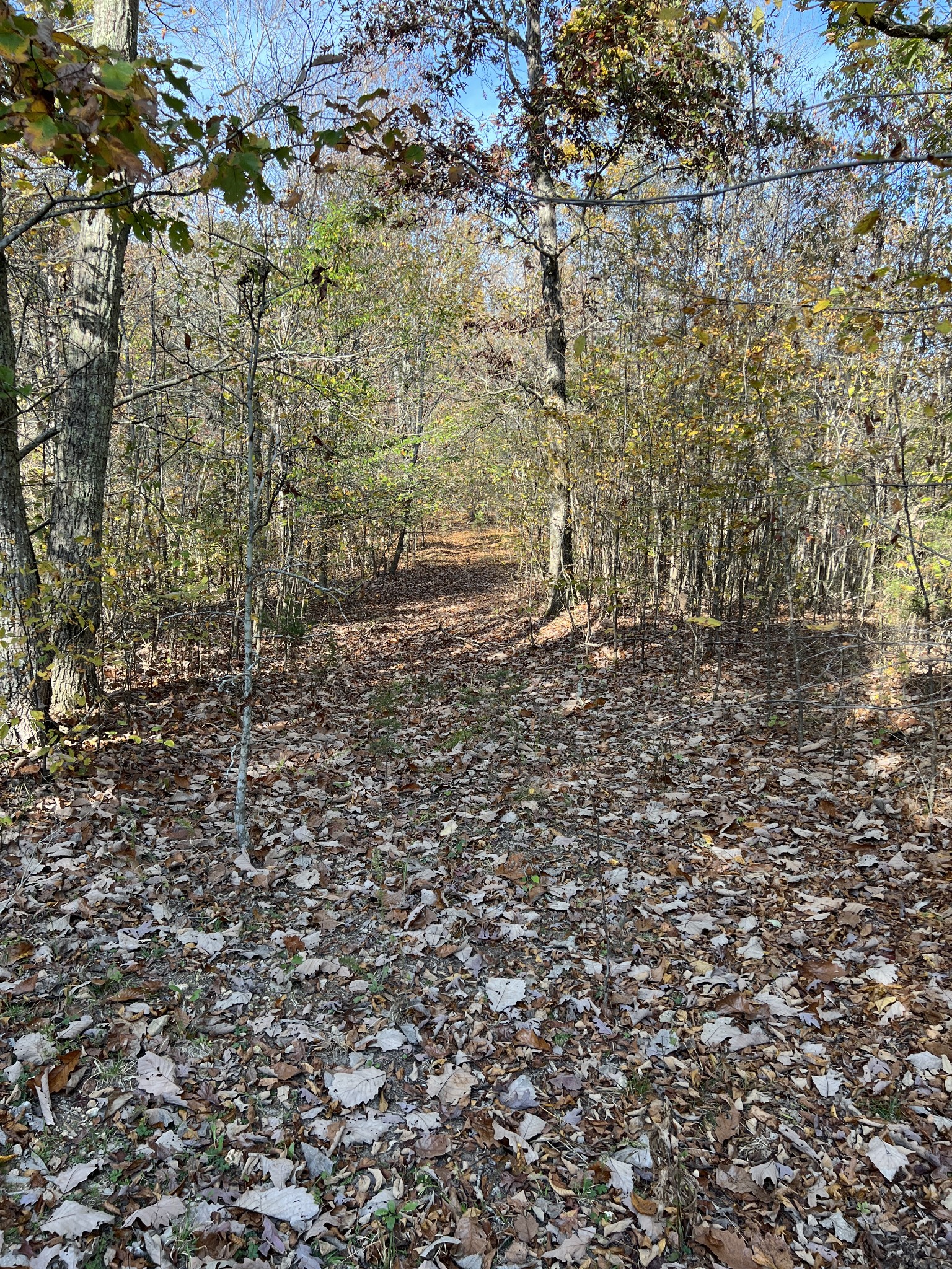 1 Cane Creek Road Hohenwald, TN 38462 - Photo 22 of 26 Gallery Image 22