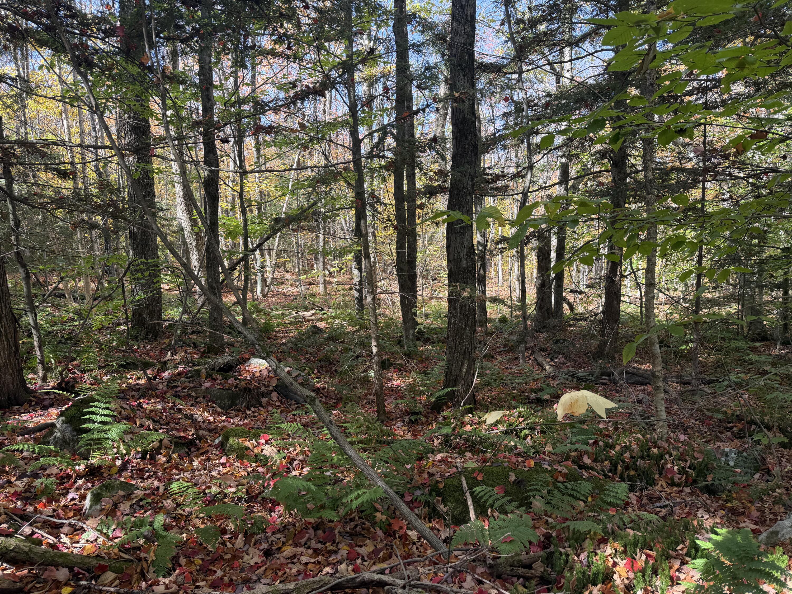 0 Rand Hill Road Morrisonville, NY 12962 - Photo 6 of 10
