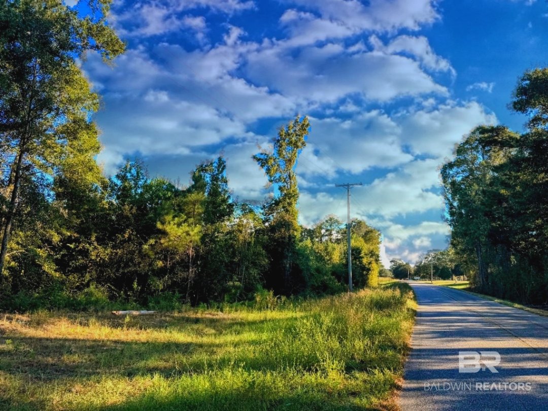 0 Nathan Jordan Road Millry, AL 36558 - Photo 4 of 53 Gallery Image 4