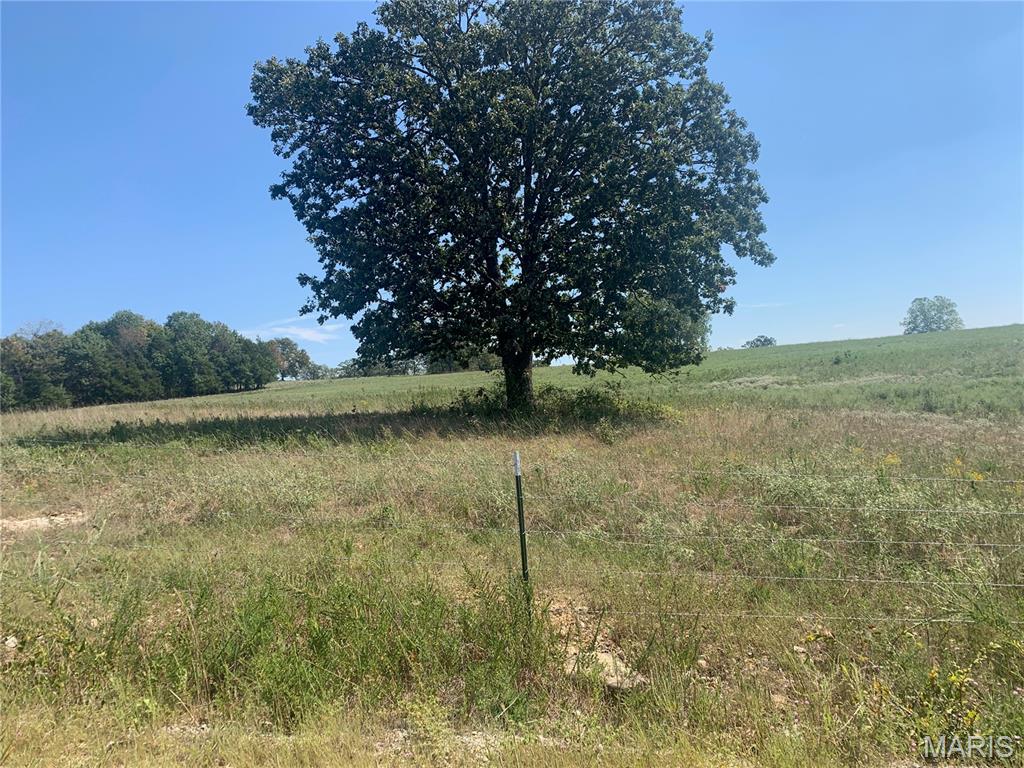 0 Rail Hollow Ranch Theodosia, MO 65761 - Photo 6 of 6