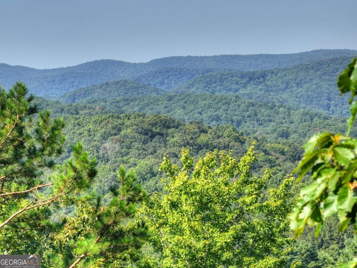 3.6-ac Prince Mountain Road Cherry Log, GA 30522 - Photo 8 of 22 Gallery Image 8