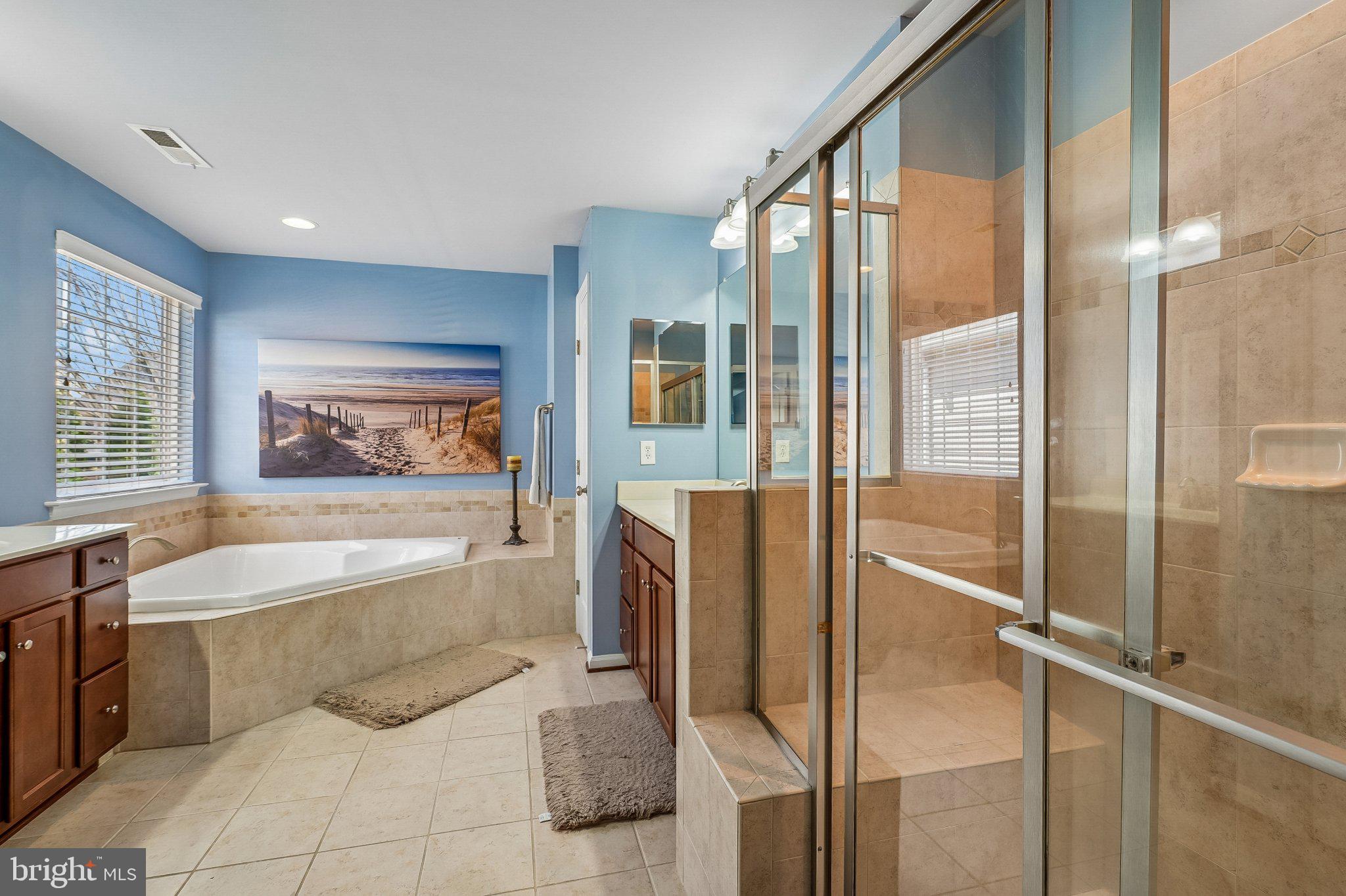 8716 Raleigh Mews Gainesville, VA 20155 - Photo 24 of 37 Serene spa-like bathroom retreat.