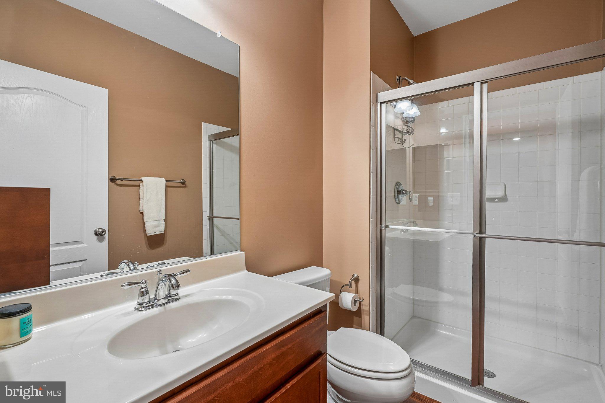 8716 Raleigh Mews Gainesville, VA 20155 - Photo 34 of 37 Lower Level Modern bathroom with sleek finishes.